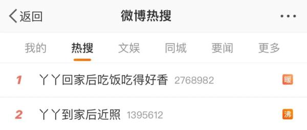 大熊猫丫丫回国后首次露面！竹子、辅食、空调都安排了