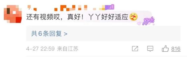 大熊猫丫丫回国后首次露面！竹子、辅食、空调都安排了