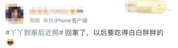 大熊猫丫丫回国后首次露面！竹子、辅食、空调都安排了