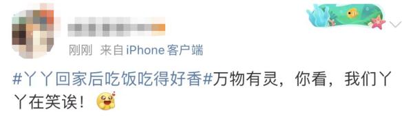 大熊猫丫丫回国后首次露面！竹子、辅食、空调都安排了