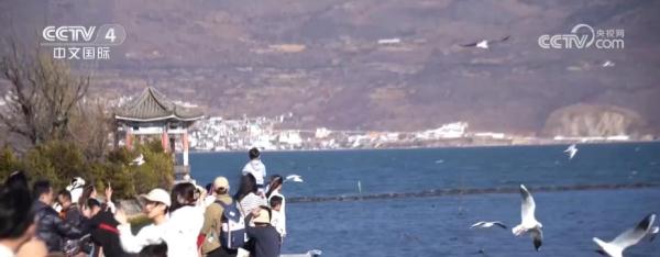 文旅业提前进入市场消费“夏天” 围绕特色旅游IP打造活动