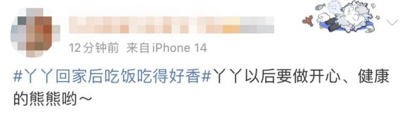 大熊猫丫丫回国后首次露面！竹子、辅食、空调都安排了