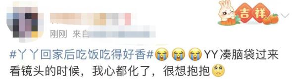 大熊猫丫丫回国后首次露面！竹子、辅食、空调都安排了