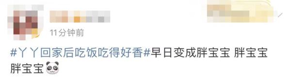 大熊猫丫丫回国后首次露面！竹子、辅食、空调都安排了