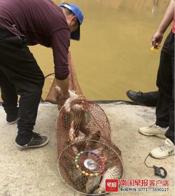 钓鱼还是被钓?南宁多人沉迷钓“标鱼塘”,有钓友输光积蓄!部门回应 钓鱼还是被钓?南宁多人沉迷钓“标鱼塘”,有钓友输光积蓄!部门回应