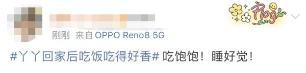 大熊猫丫丫回国后首次露面！竹子、辅食、空调都安排了