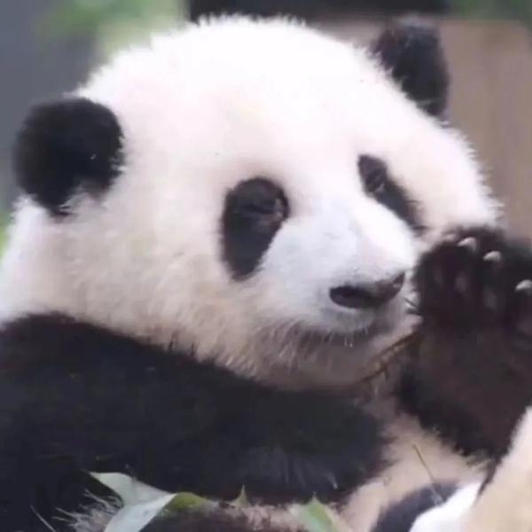 “五一特种兵”集合!下一站:成都! “五一特种兵”集合!下一站:成都!