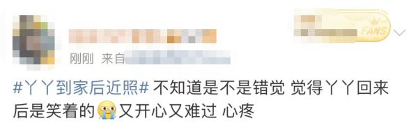 大熊猫丫丫回国后首次露面！竹子、辅食、空调都安排了