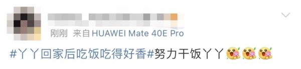 大熊猫丫丫回国后首次露面！竹子、辅食、空调都安排了