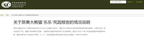 回国第一晚，丫丫过得怎样？“怼脸拍”来了！