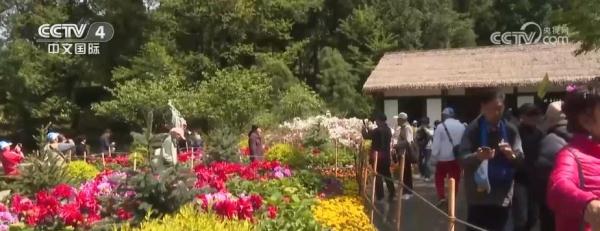 文旅业提前进入市场消费“夏天” 围绕特色旅游IP打造活动