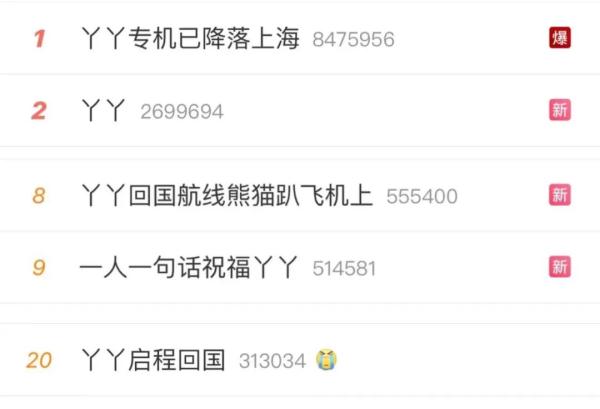 丫丫回国冲上数个热搜，这一幕最感人！