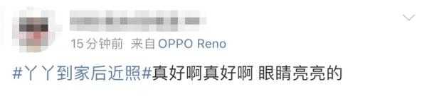 大熊猫丫丫回国后首次露面！竹子、辅食、空调都安排了