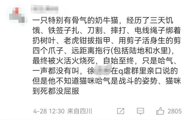 网红博主因虐猫被拘留! 网红博主因虐猫被拘留!