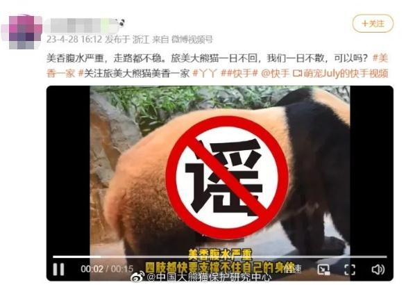 大熊猫“林惠”家人失踪？最新回应