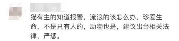 网红博主因虐猫被拘留! 网红博主因虐猫被拘留!