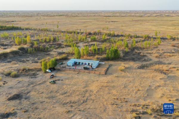 大漠治沙客 大漠治沙客