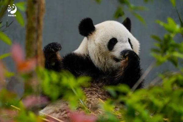 事发4A级景区！2名未成年人，被严重警告！