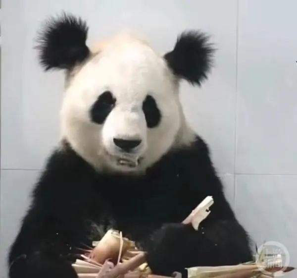这些关于“顶流”的消息，都是谣言！