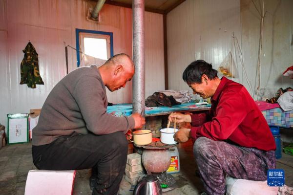 大漠治沙客 大漠治沙客