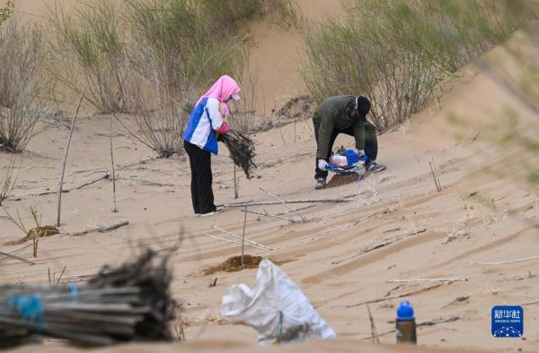 大漠治沙客 大漠治沙客