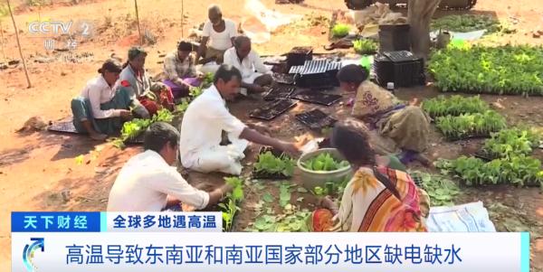 热热热！热浪席卷东南亚国家，将如何冲击经济？