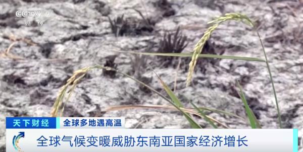 热热热！热浪席卷东南亚国家，将如何冲击经济？