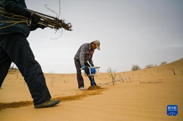 大漠治沙客 大漠治沙客