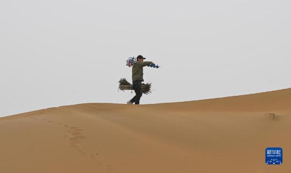 大漠治沙客 大漠治沙客