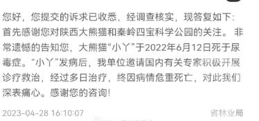 大熊猫“小丫”7岁因尿毒症去世，陕西省林业局称属实
