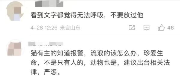 行为太残忍!知名网红被拘 行为太残忍!知名网红被拘