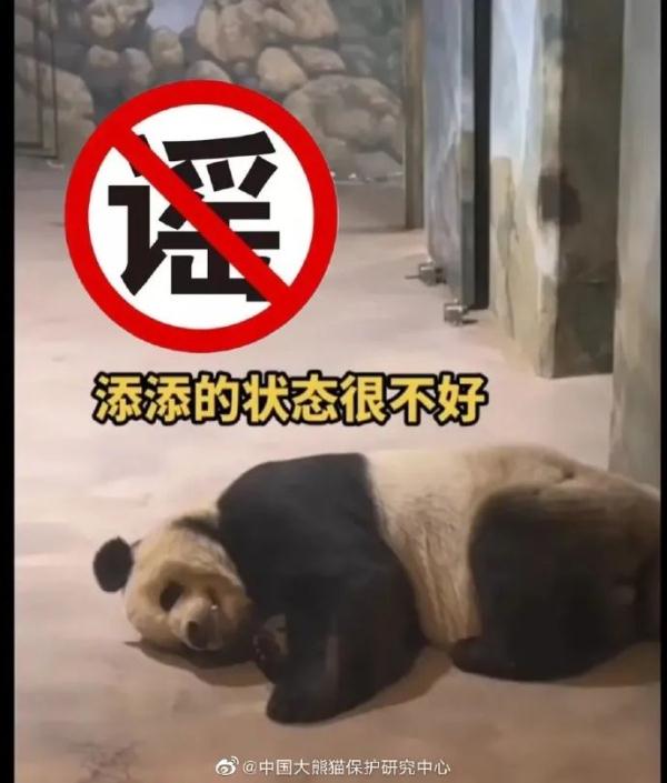 这些关于“顶流”的消息，都是谣言！