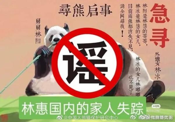 大熊猫“小丫”因尿毒症去世？官方回应