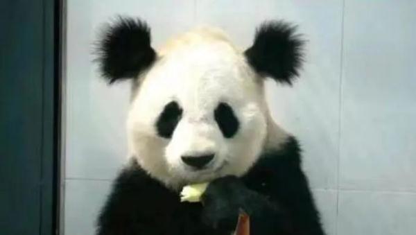 这些关于“顶流”的消息，都是谣言！