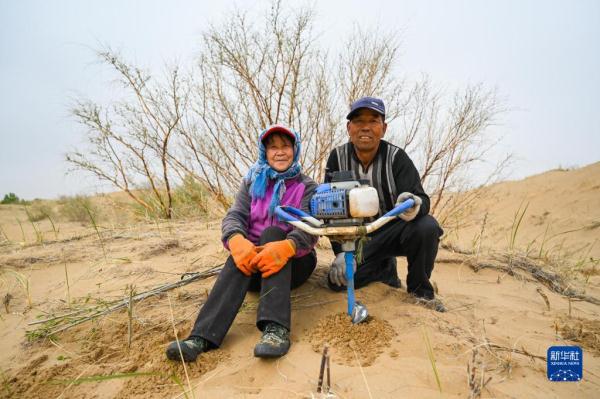 大漠治沙客 大漠治沙客