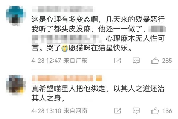 网红博主因虐猫被拘留! 网红博主因虐猫被拘留!