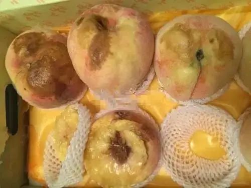 吃了冰箱里的桃子,命差点没了!医生:警惕这个“冷酷”杀手 吃了冰箱里的桃子,命差点没了!医生:警惕这个“冷酷”杀手