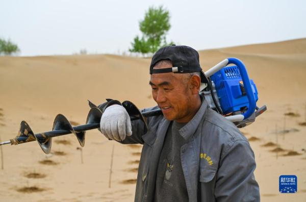 大漠治沙客 大漠治沙客