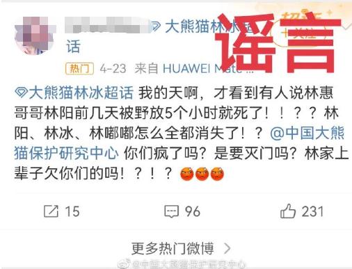 大熊猫“小丫”因尿毒症去世？官方回应