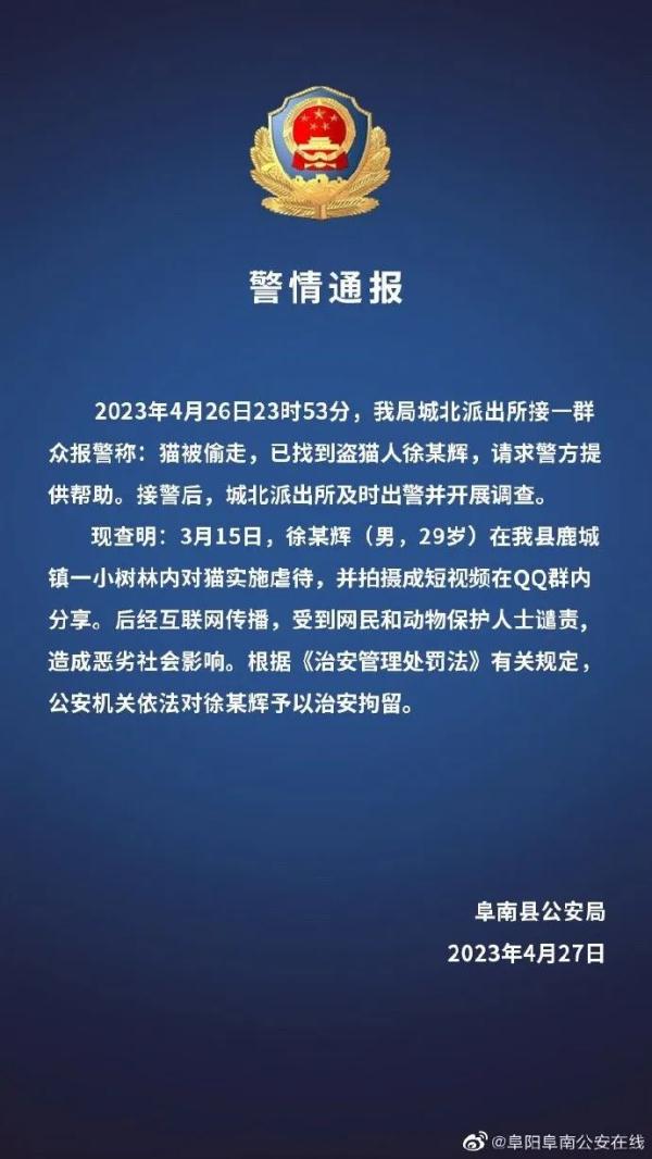拘留，封禁！虐猫网红公开道歉