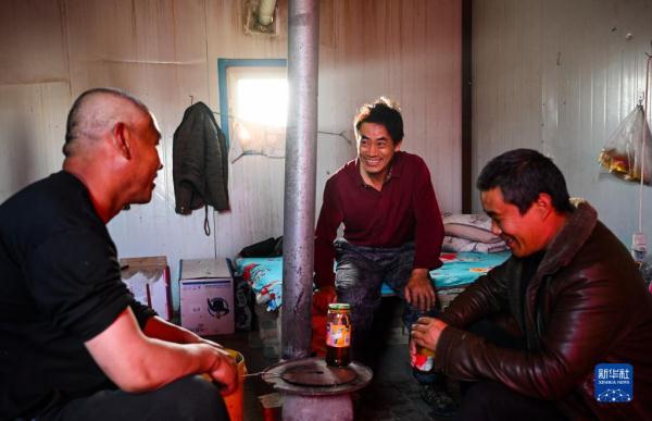 大漠治沙客 大漠治沙客