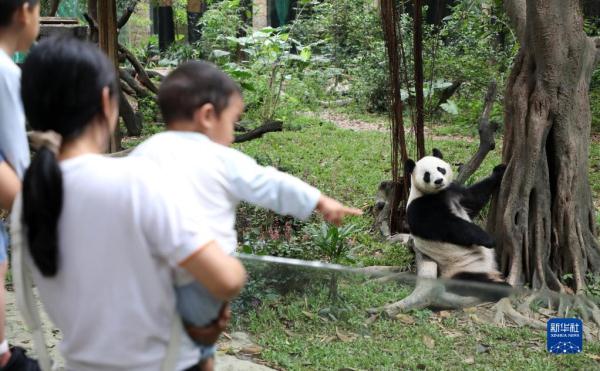 多姿多彩乐享“五一”假期 多姿多彩乐享“五一”假期
