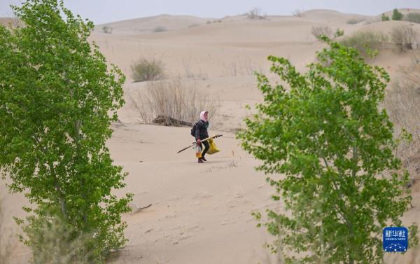 大漠治沙客 大漠治沙客