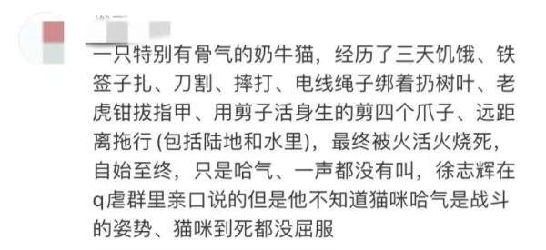 行为太残忍!知名网红被拘 行为太残忍!知名网红被拘