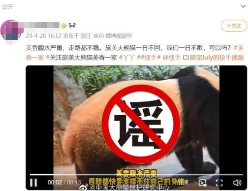 大熊猫“小丫”因尿毒症去世？官方回应