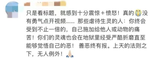 行为太残忍!知名网红被拘 行为太残忍!知名网红被拘