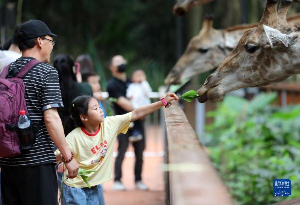 多姿多彩乐享“五一”假期 多姿多彩乐享“五一”假期