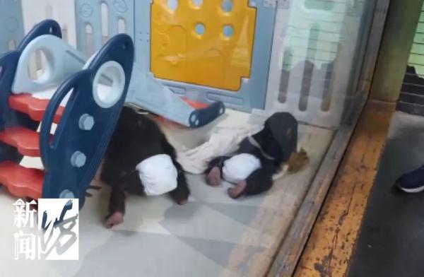 上海这个景点，很多人扑空了？友情提醒：这里不对外开放