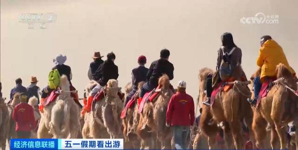 敦煌“堵骆驼”了！“红骆驼停，绿骆驼行”…...