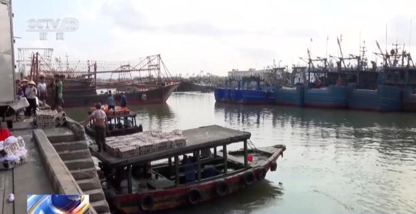 渔船陆续归港 海南三亚明日12时起进入伏季休渔期